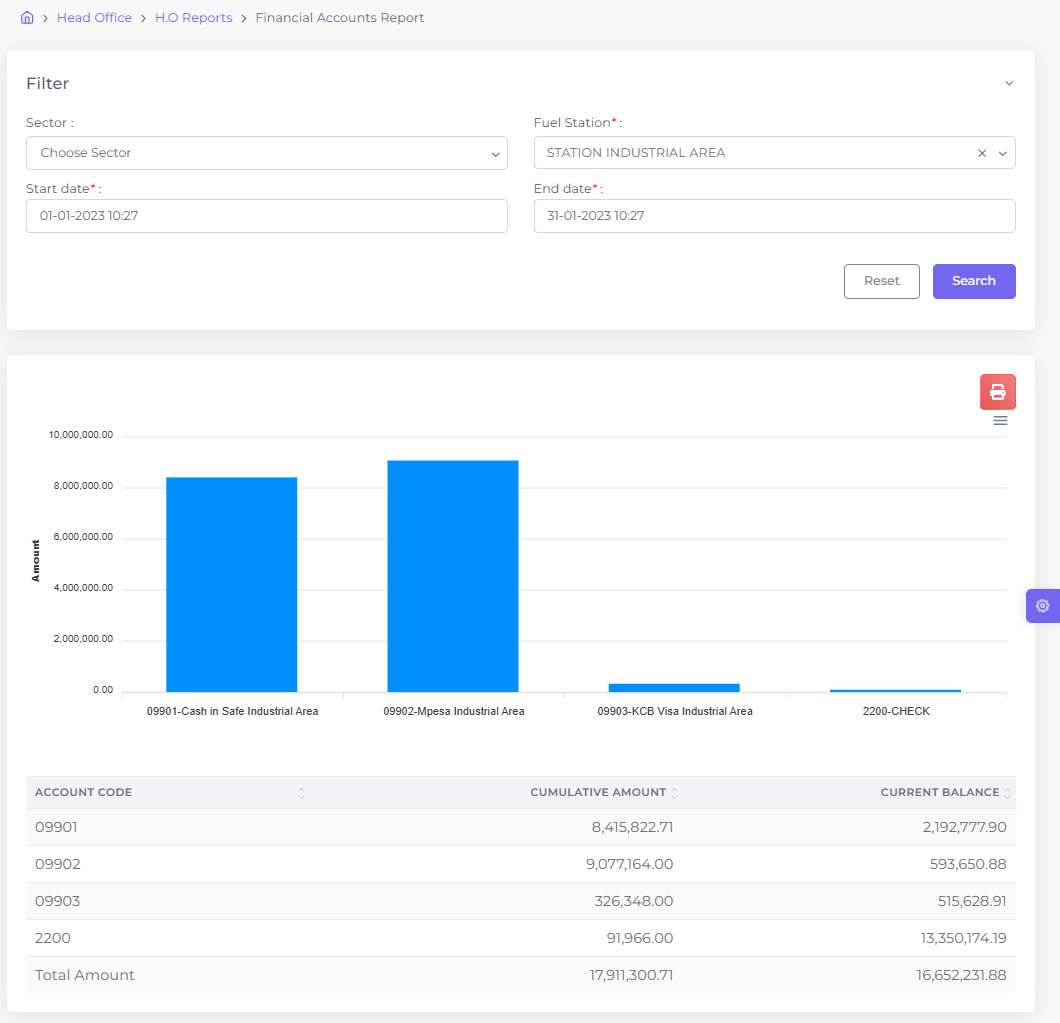 Financial accounts report